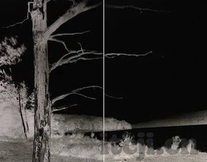 国产精东野花麻豆av-透视国产艺术作品下的情感与美学——非传统路径的探索