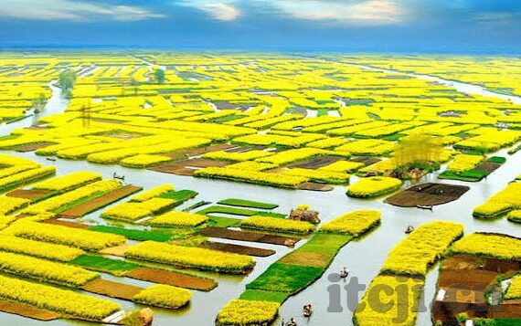 精品国产1000部91麻豆-那些不该被错过的——精品国产剧集的独特魅力