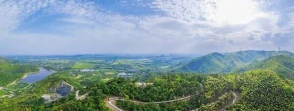 麻豆传媒2021在线观看-窥探2021年麻豆传媒的在线世界