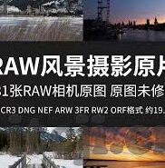麻豆传媒吧-麻豆传媒的行业影响与文化反思
