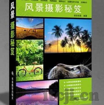 麻豆黄色视频软件-网络世界中的警醒，关于麻豆黄色视频软件的理性思考