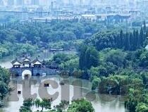麻豆视频app下载网站-麻豆视频，解锁娱乐新视界的便捷之选