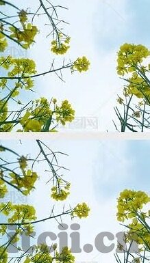 麻豆视频怎么下载官方-解锁观看新体验，安全上手麻豆视频官方下载步骤