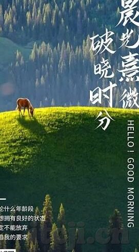 人妻中文字幕-探索人妻角色的多维度魅力，中文字幕下的细腻情感